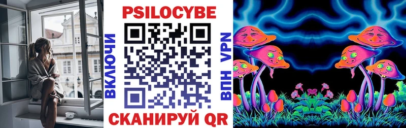 Псилоцибиновые грибы Psilocybine cubensis  Щёлково 