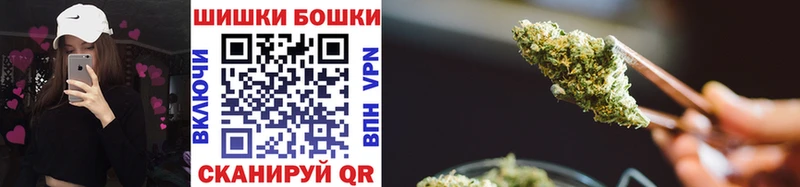 Каннабис OG Kush  Щёлково 